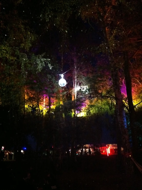 a very colorful sky filled with bright lights in a forest