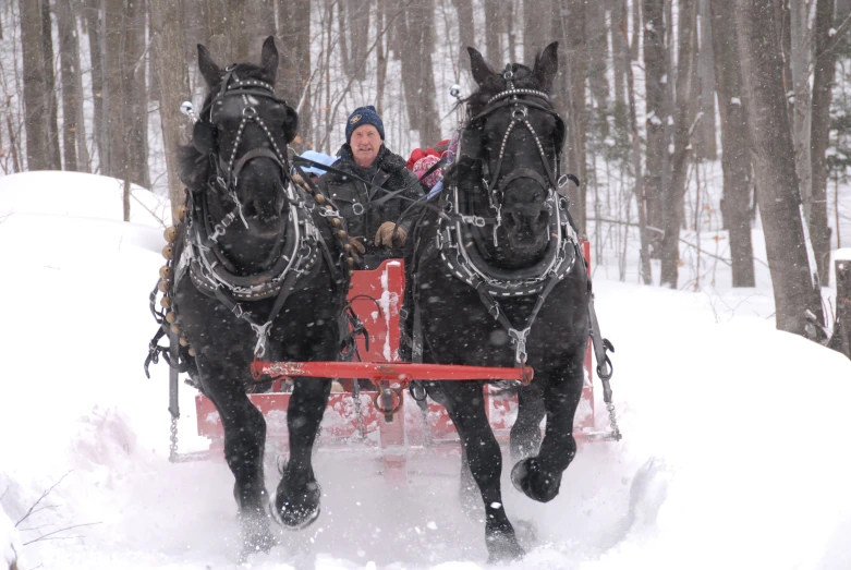 the sleigh is being pulled by two horses