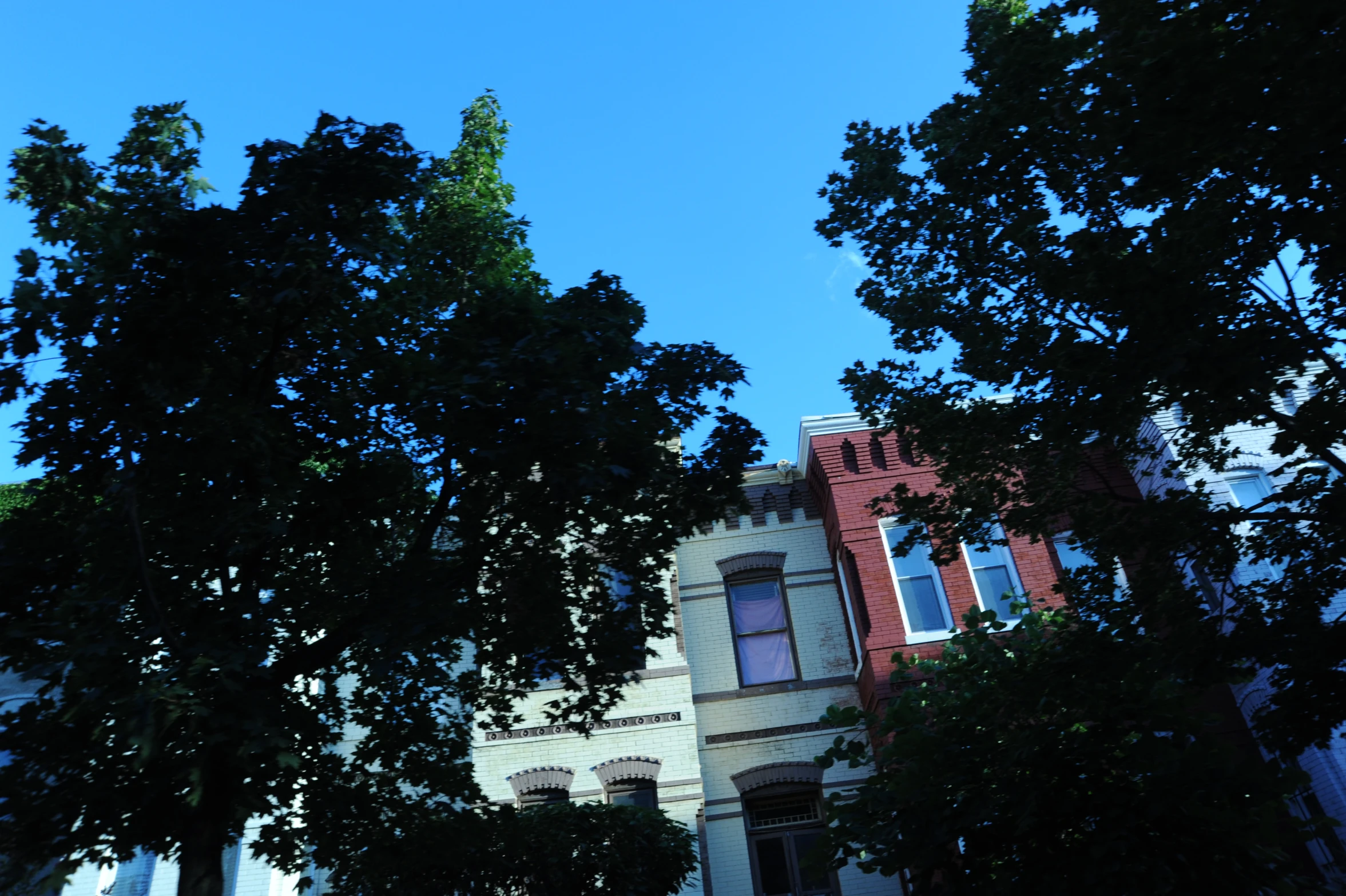 trees line the sidewalk and side of a multi - story house