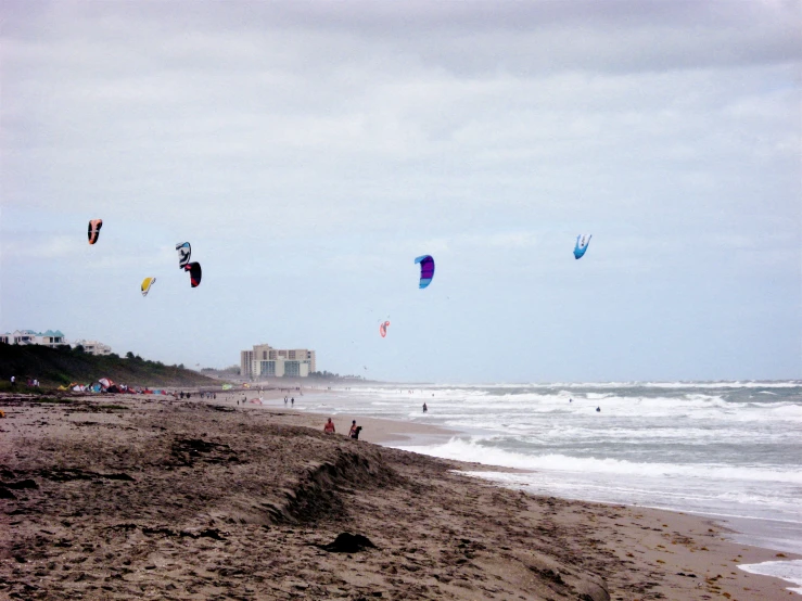 people flying kites near the ocean on the beach