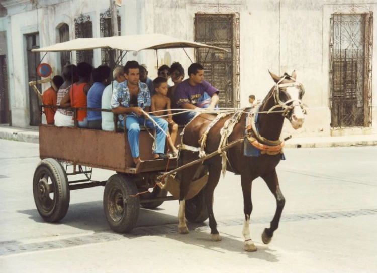 some people ride in a horse drawn wagon