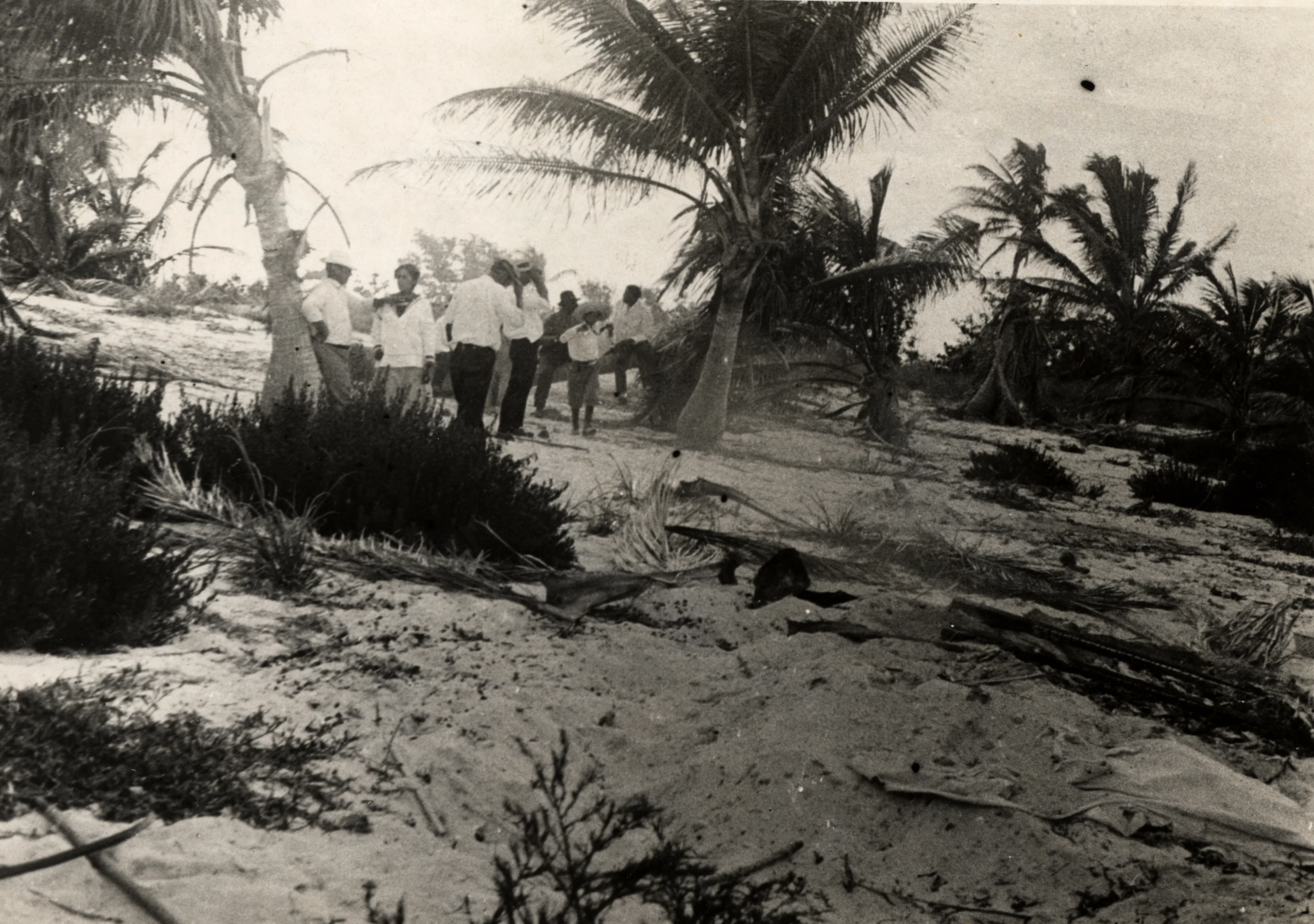 people standing near a small lake with a beach in the background