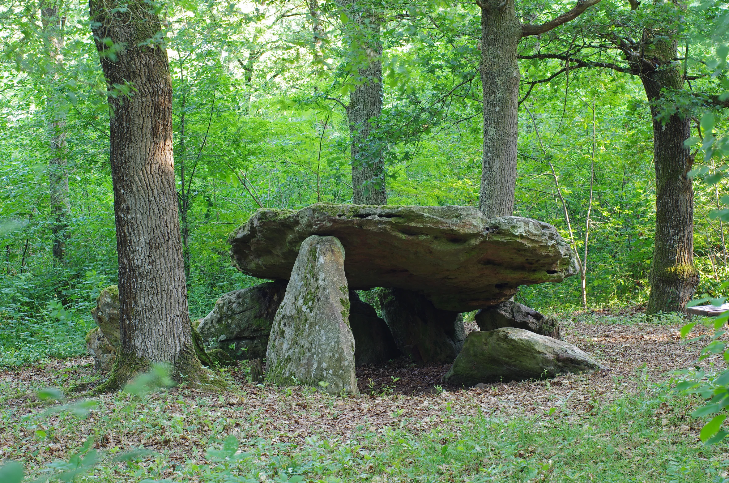 a rock formation sitting between two trees in the woods