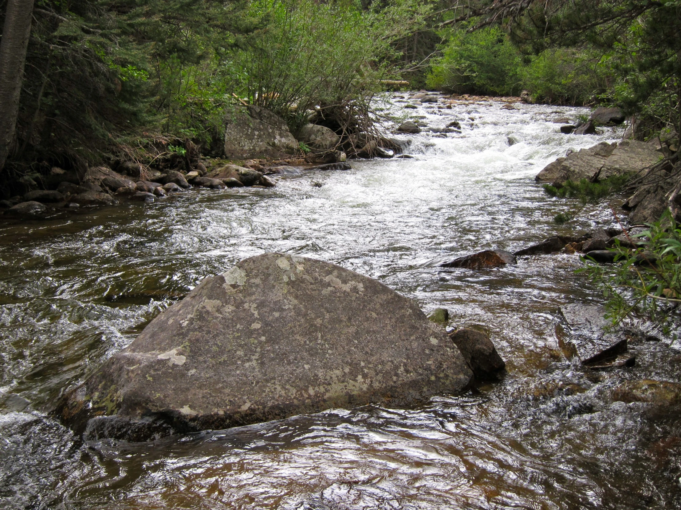 a river in the woods with a big rock