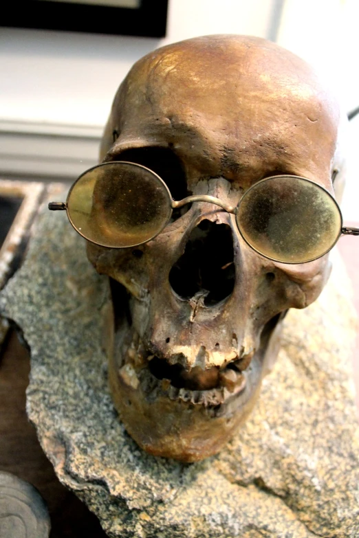 a skeleton in some kind of museum with glasses