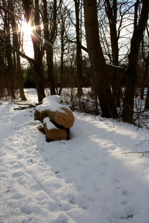 a large snowy rock in the middle of winter