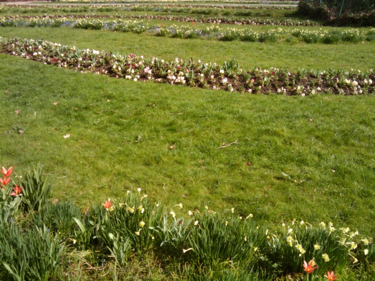 an area of lush green grass surrounded by flowers and trees