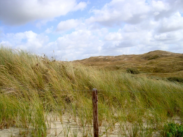 a tall green grass covered hill next to a fence