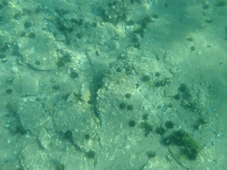 a very large group of bubbles under the water