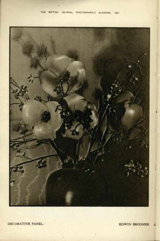 black and white pograph of flowers in a vase