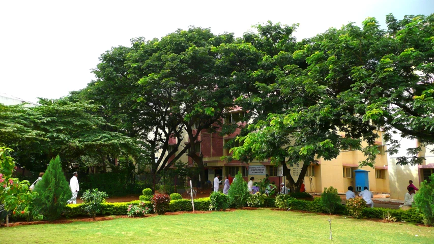 a house in a park with a lush green lawn