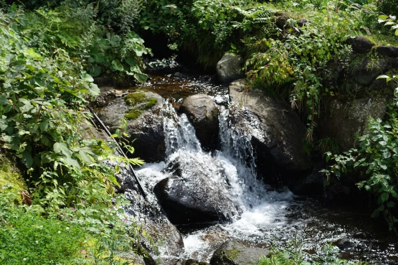 there is a small waterfall in the middle of a forest