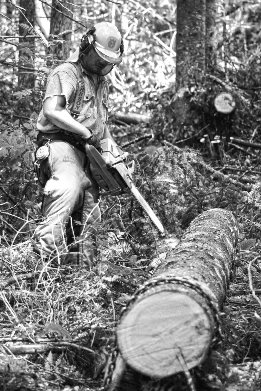 a person standing over a fallen down tree in the woods