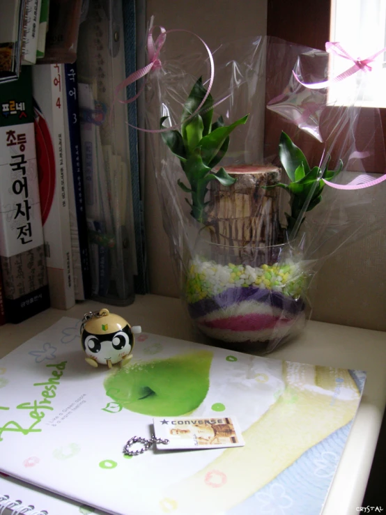 a flower pot is set on a table with a book