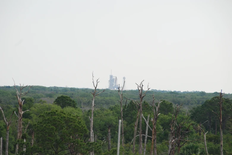 a forested area with a distant tower in the distance