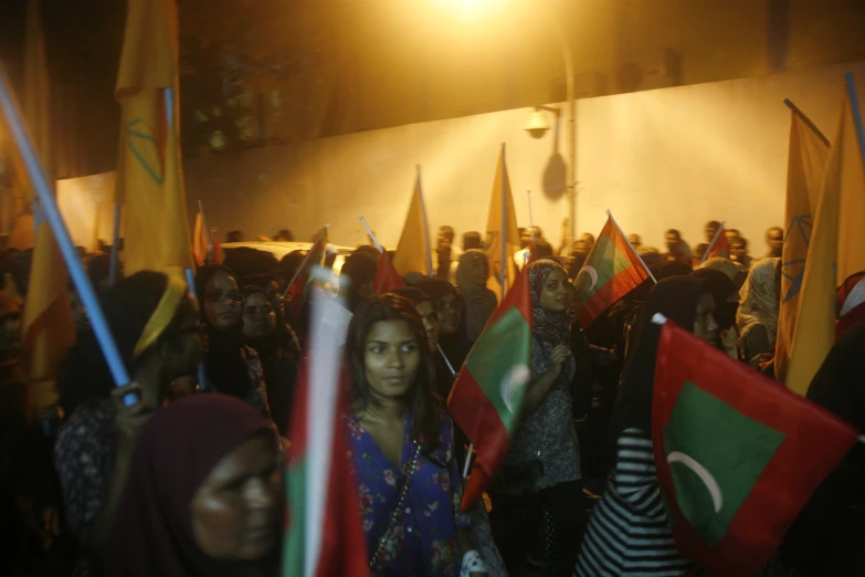 people holding flags with a spotlight on a building