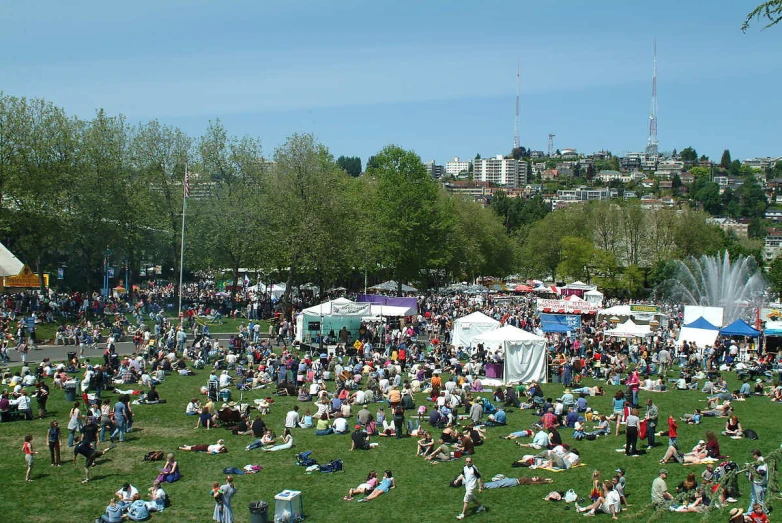 a huge crowd of people sitting around at the park