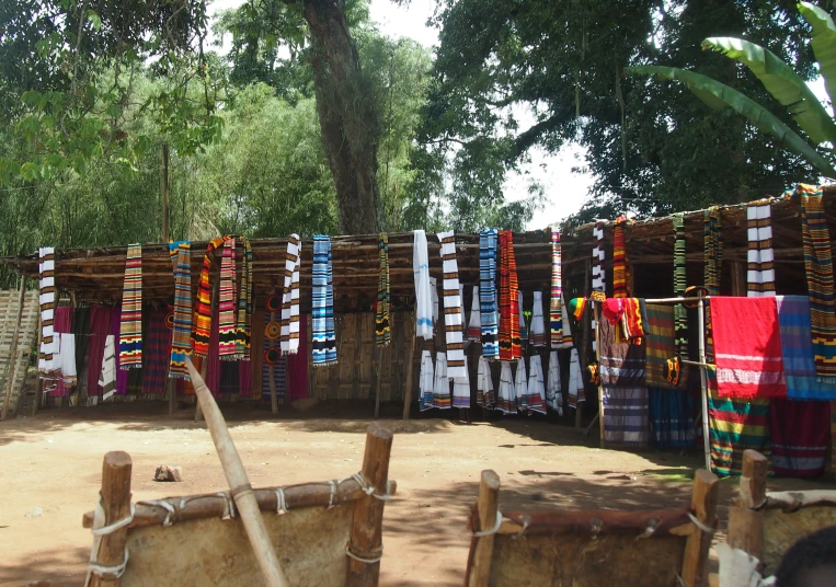 several pieces of cloth sitting in front of trees