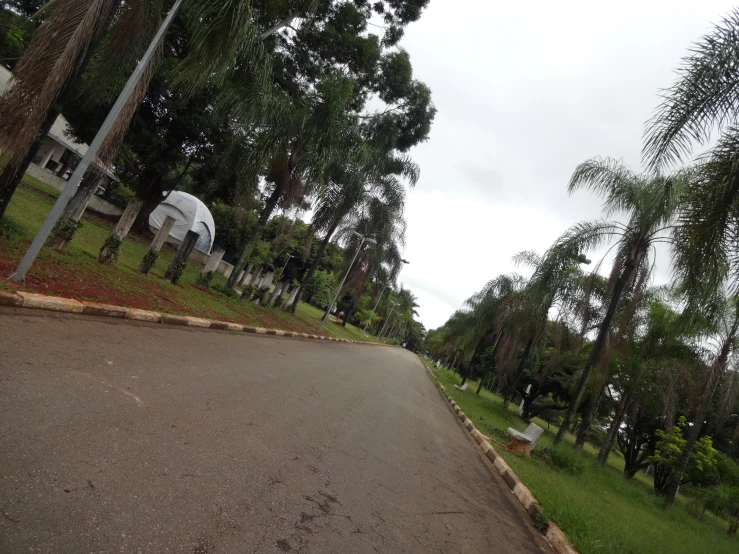 a street that has cars on it and palm trees