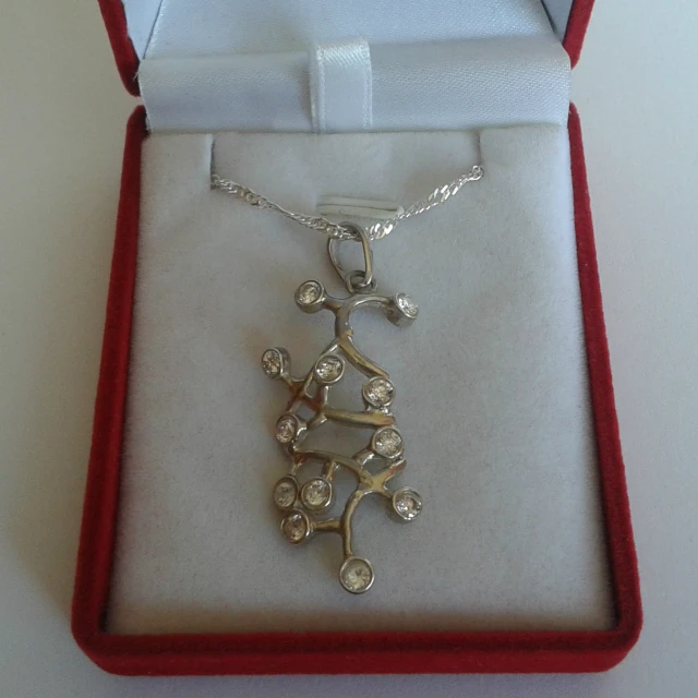 a silver necklace in a red case with a chain