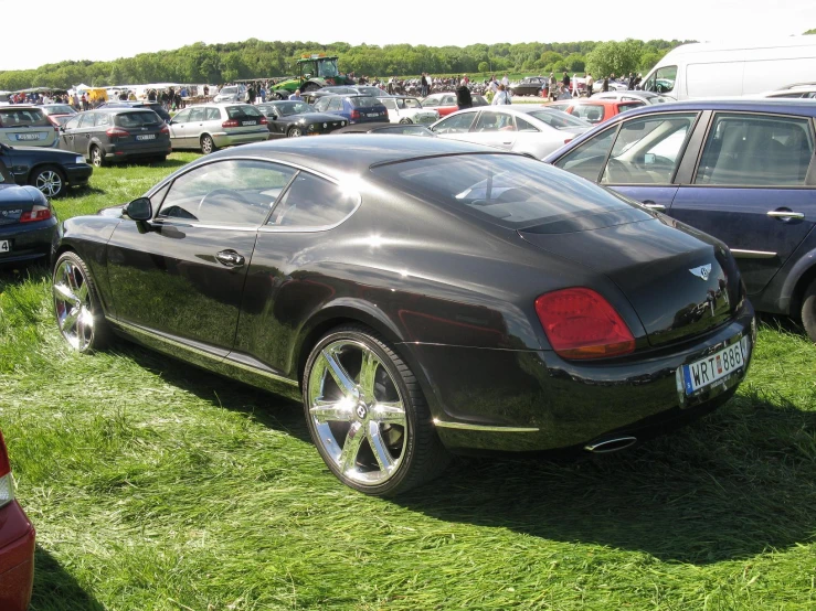 a very shiny black car parked in the grass