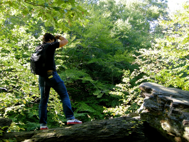 a girl standing in the woods, looking into the distance