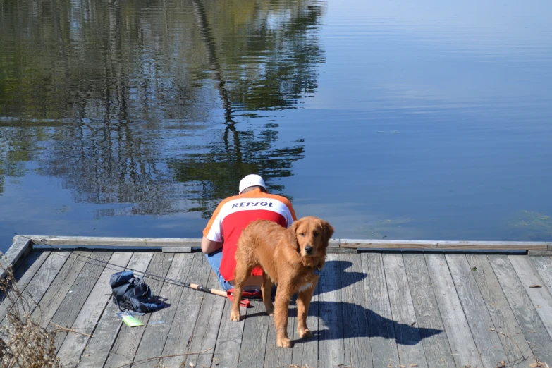 a person sitting on a dock with a dog