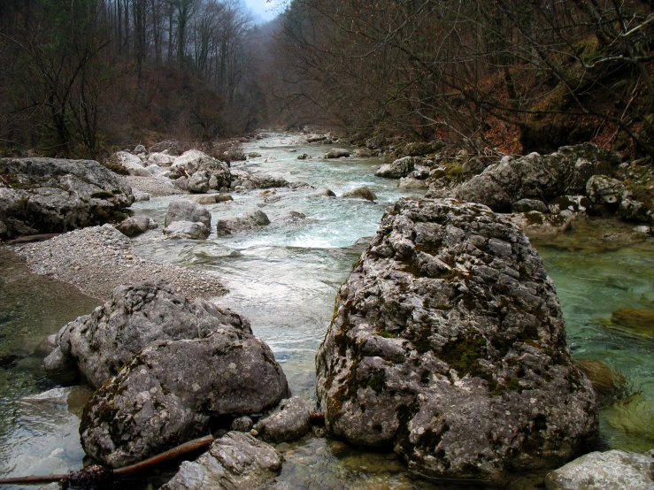 a rocky stream flows through the woods