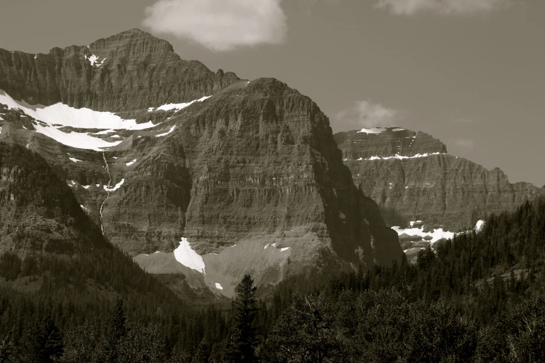 a large mountainside with trees and snow in the foreground