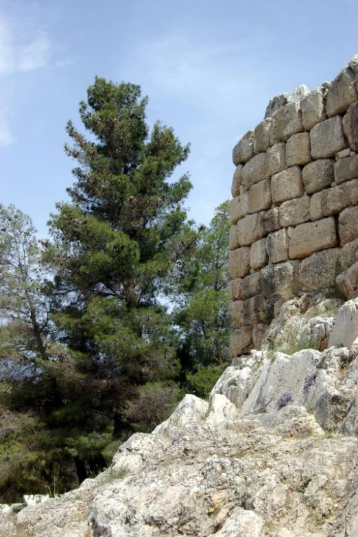 a rocky area that has some trees next to it