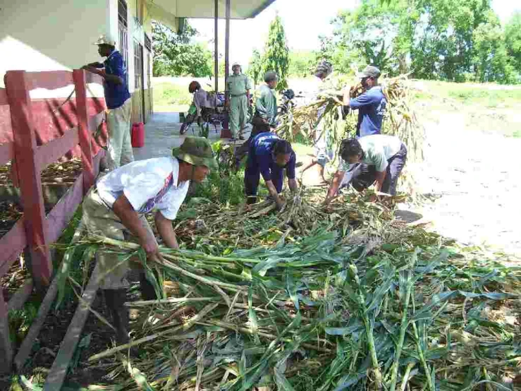 a group of people are picking up weeds