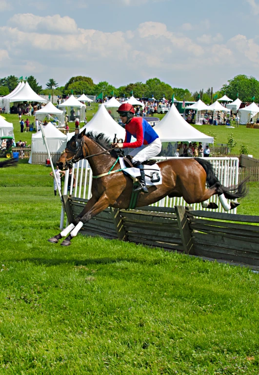 a horse and rider jumping over an obstacle