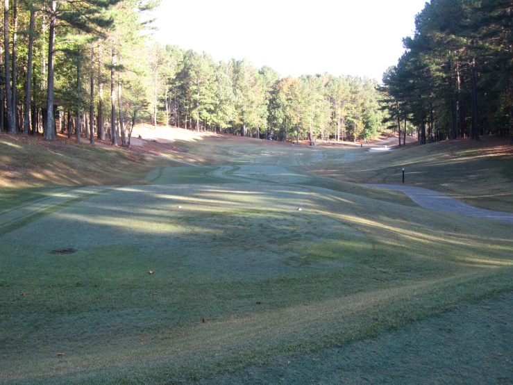 a picture of a nice looking course with trees in the background