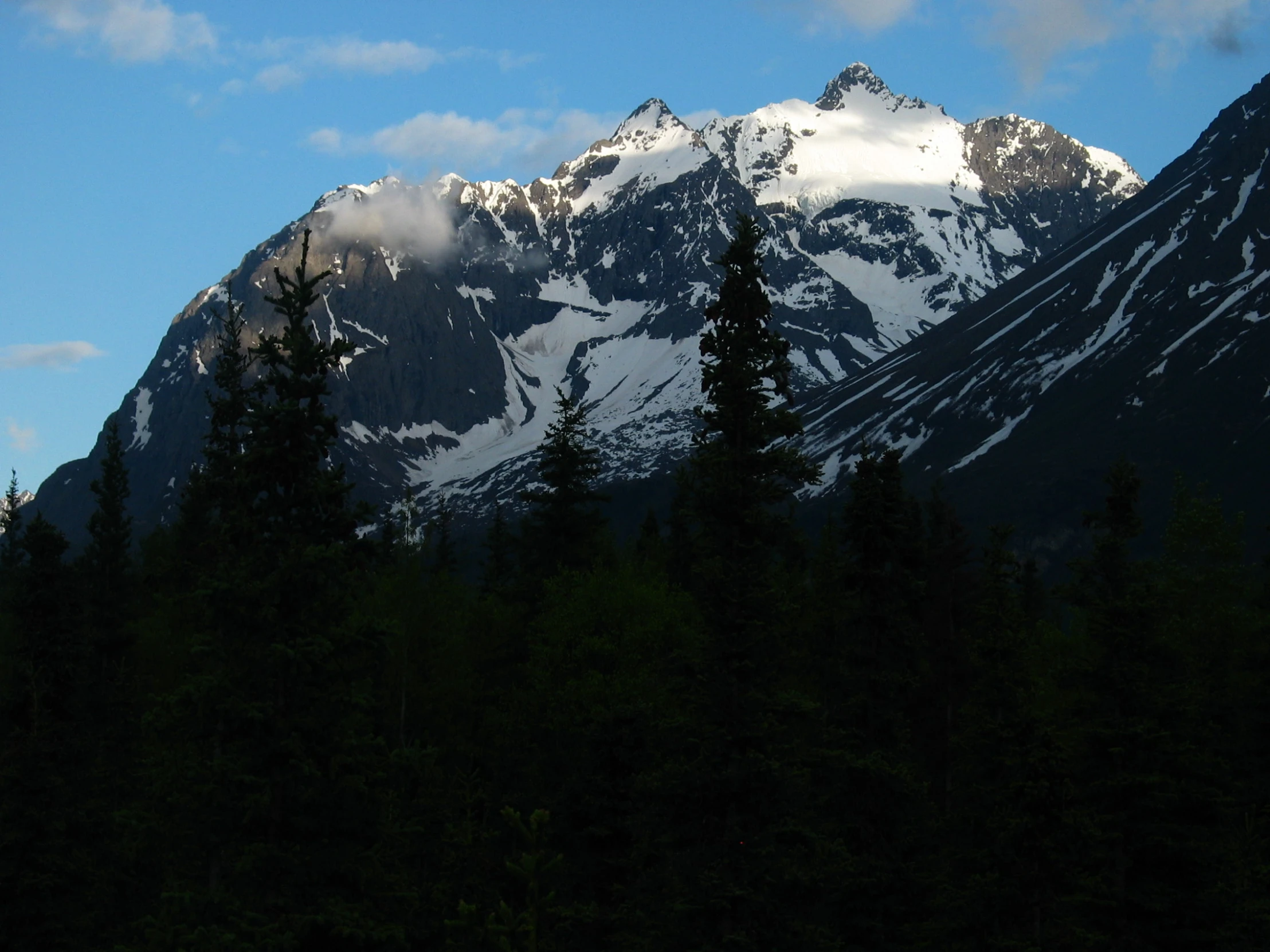 a large snow capped mountain with some trees