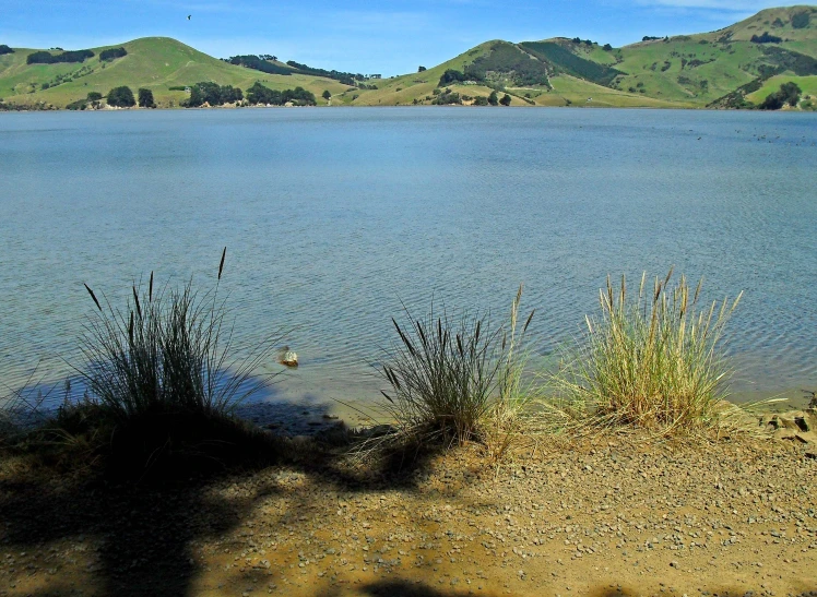 two lake like body of water with hills behind them
