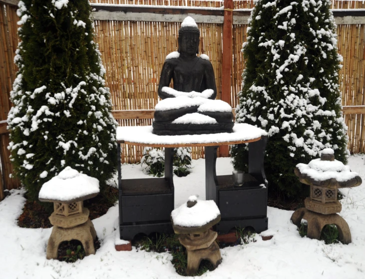 a garden filled with various plants covered in snow