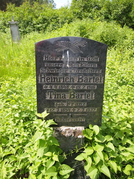 a cemetery marker surrounded by tall grass and bushes