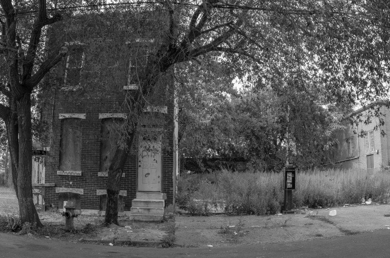 an old building sits near a row of trees