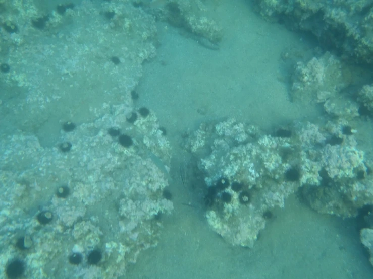 a view of the water and rocks that are in the bottom part of the ocean