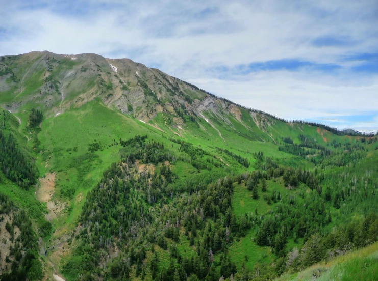 a green, hilly area in the mountains