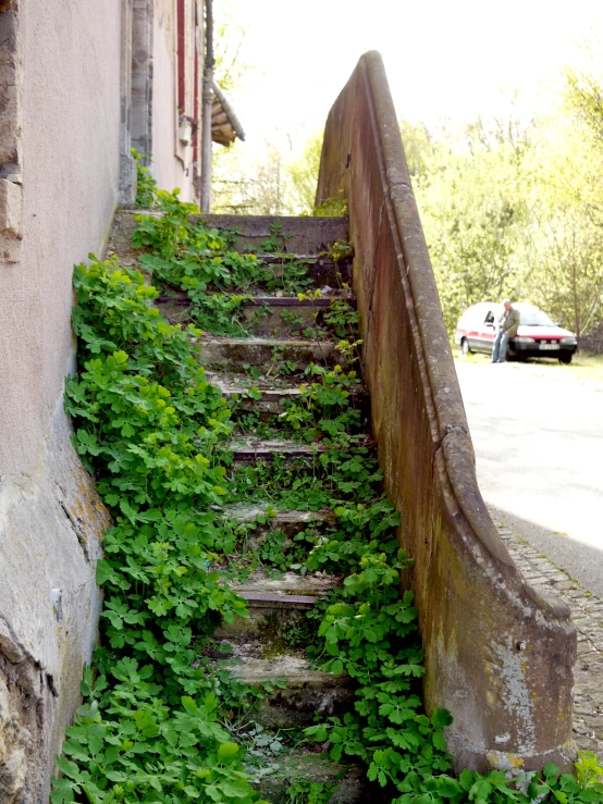 a stair way with green plants growing over it