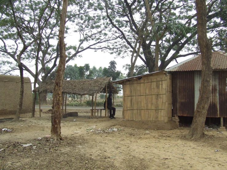 a person next to some trees near a shack