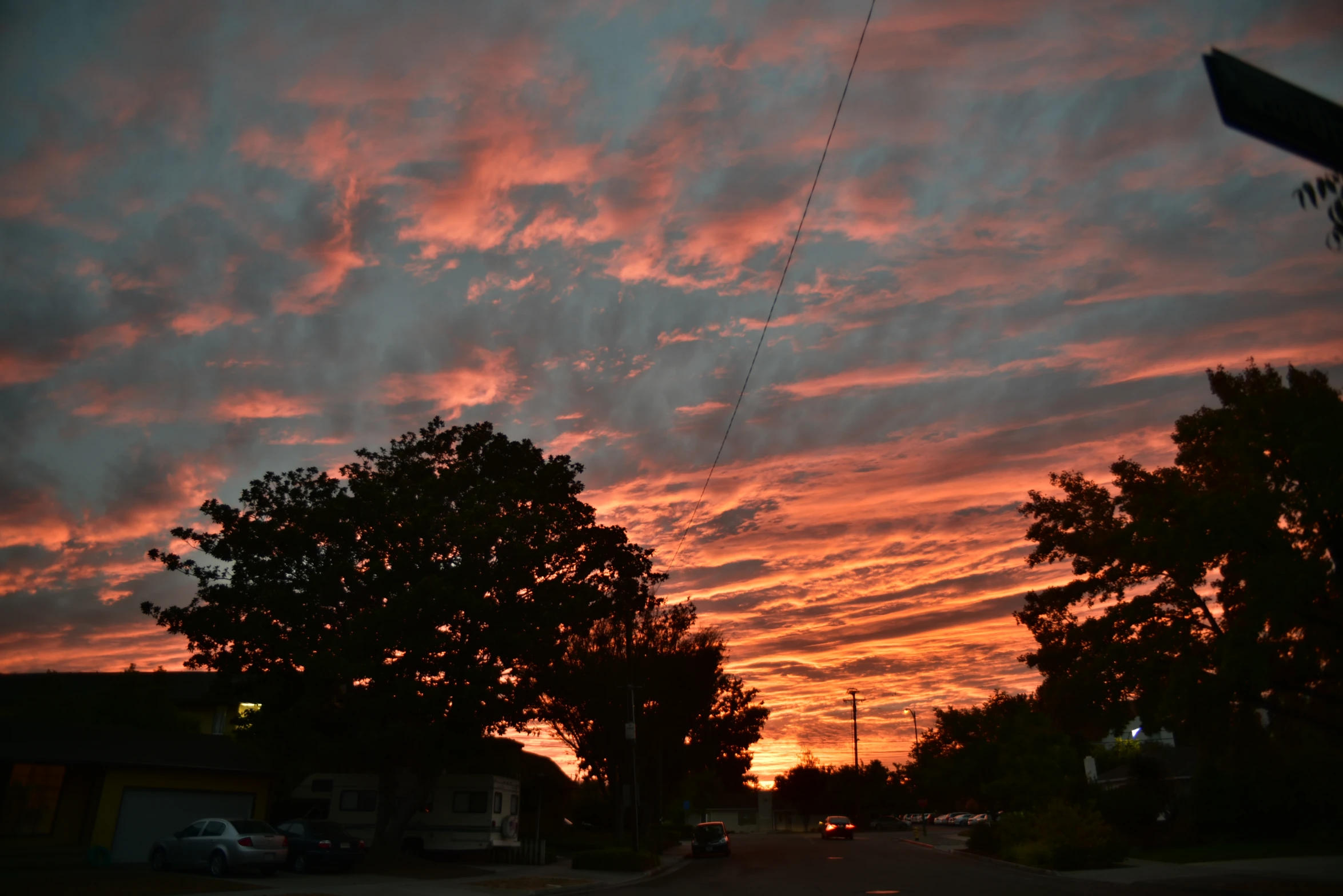 a sunset behind a row of trees and some buildings