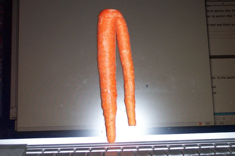 a pair of carrots that are on top of a laptop