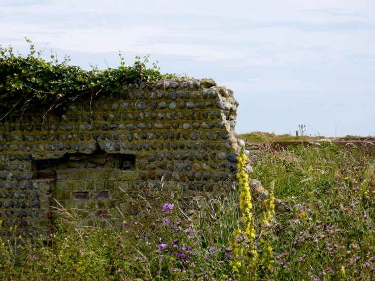 there is an old brick structure in the middle of the field