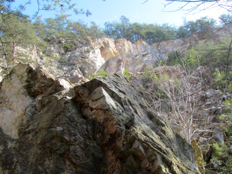 a rock is next to a lush green forest