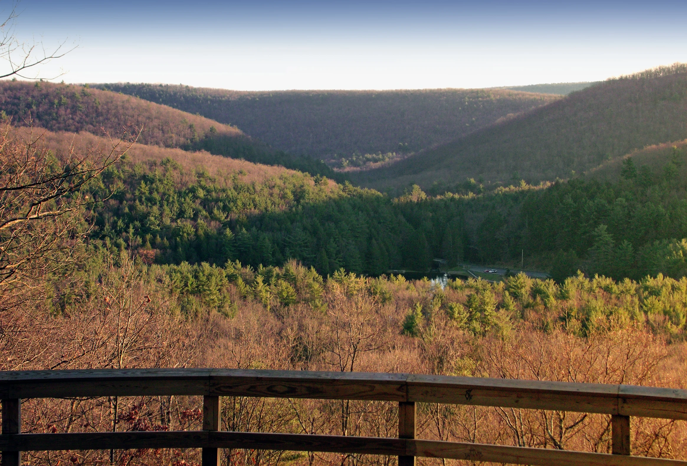 a scenic view of a large green forest