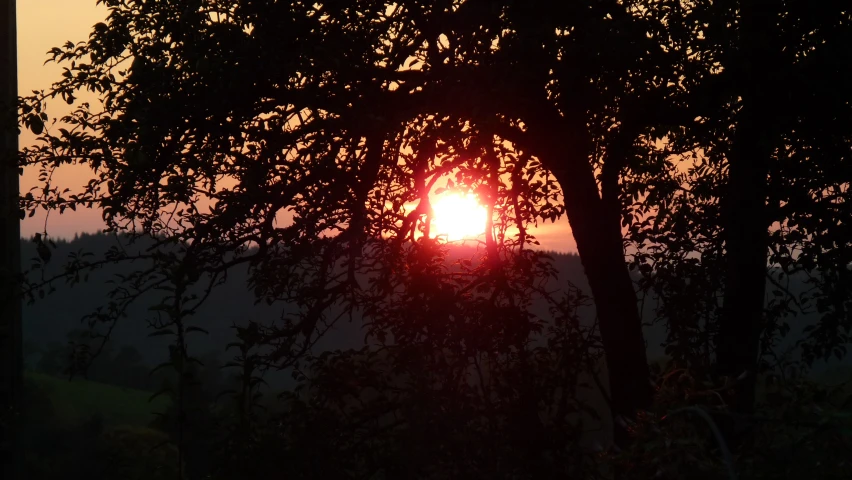 the sun sets behind a silhouette of trees