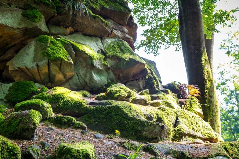 a rocky landscape covered in green mossy rocks