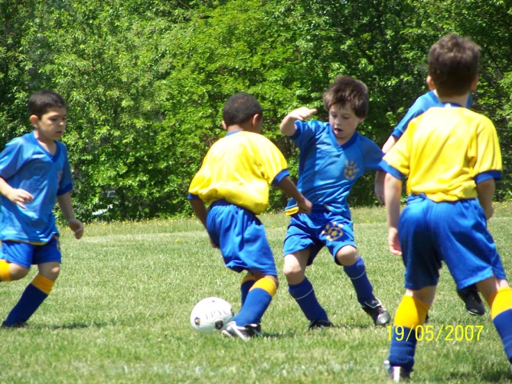a group of s playing a game of soccer